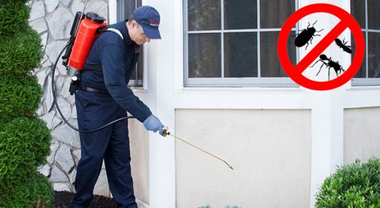 Akçakale Kemirgen İlaçlama böcek ilaçlama ve haşere kontrolü — ilaclama-tr.com